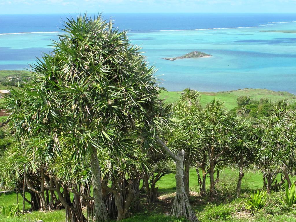 Residence Foulsafat Rodrigues Island Exterior photo